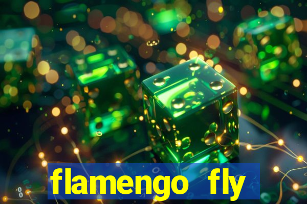 flamengo fly emirates ultimas noticias